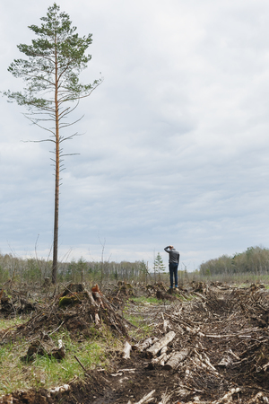 A lone man among the felled forest looking at one tree remaining. Deforestation. Environmental change. The problem of mankind. One tall treeの写真素材