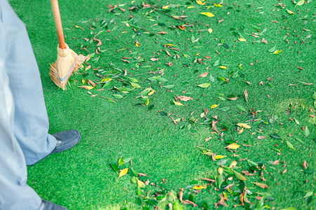 Working with broom sweeps lawn from fallen leavesの写真素材