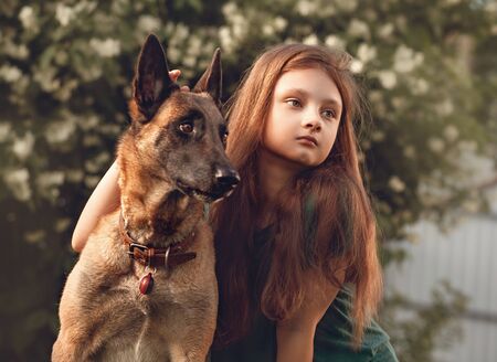 Cute kid girl petting the belgian shepherd  dog with love on summer green grass background. Closeup portraitの写真素材