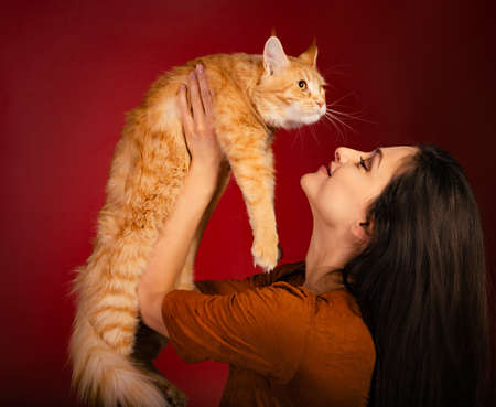 Beautiful happy smiling young woman holding on the hands and hugging with love her red maine coon kitten. Closeup portrait on red holiday background with empty copy spaceの写真素材