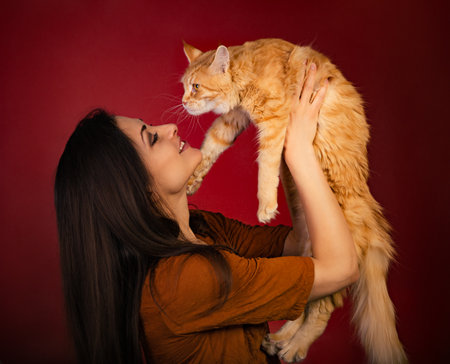 Beautiful happy smiling young woman holding on the hands and hugging with love her red maine coon kitten. Closeup portrait on red holiday background with empty copy spaceの写真素材