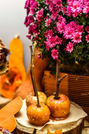Caramelized apples on a background of pink chrysanthemumsの写真素材