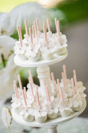 White cake pops with flowers on a wooden standの写真素材