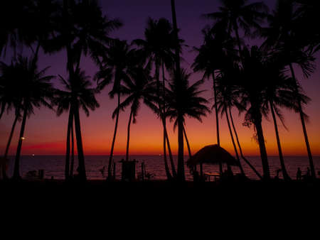 Paradise island in Thailand Koh Koodの写真素材
