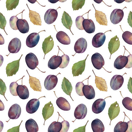 Watercolor summer seamless pattern from plums with leaves. Handmade botanical illustration. For poster, cloth, clothes, decorations, packaging, invitations, linens, linen.の写真素材