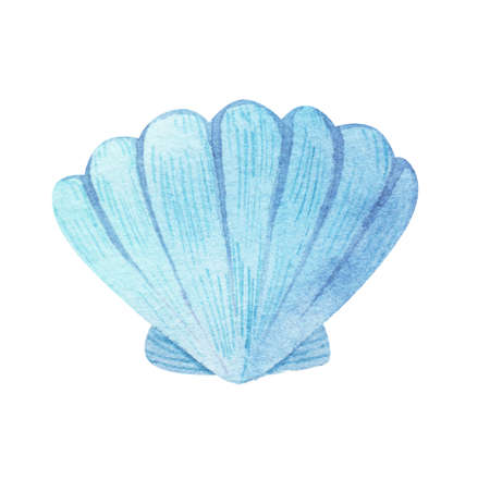 Watercolor sea set of starfish, seashells, conch on an isolated white background. underwater world hand drawing, summer clipart. For Printing on postcards, packaging, fabric, design, textile.の写真素材