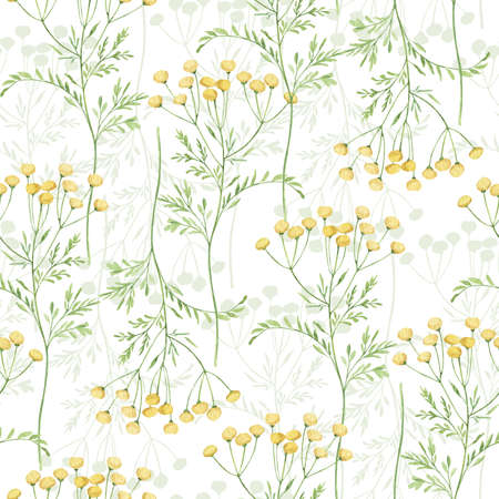 Watercolor botanical seamless pattern Delicate meadow wildflowers. Hand drawn tansy Floral print. For birthday card, invitation, happy easter, mother day, linen, wrapping paper, wallpaper, textile.の写真素材