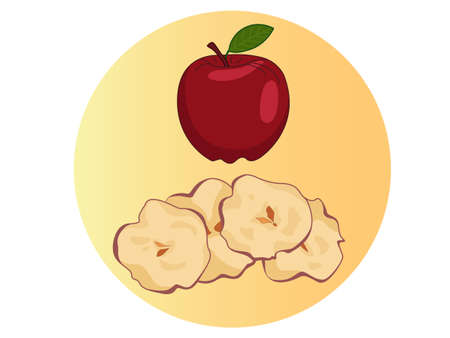 Dried slices apple chips vector drawing. Hand drawn dehydrated fruit ring and slices. Healthy vegan food snack. Baked delicious fruits. It can be used in the design of packaging cereals, breakfast cereal healthy food. Fruit apple snackのイラスト素材