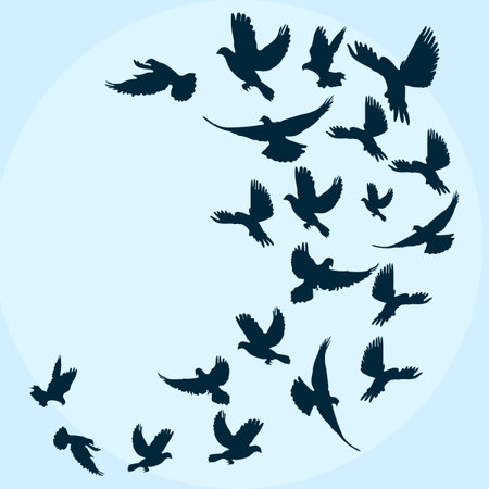 silhouette flying birds on blue sky background. vector illustration epsのイラスト素材