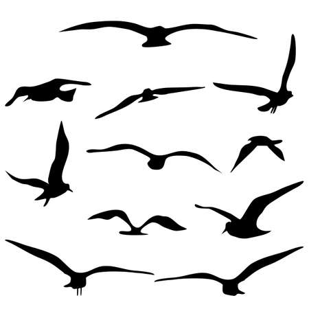 silhouette of flying birds set. isolate on a white background. Vector illustration epsのイラスト素材