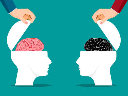 Both sides of the human head were opened with a brain. business concept