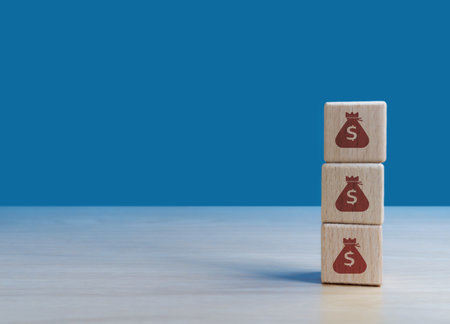 Finance and investment concept, money bag growing on wooden blocks