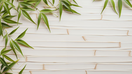 Sample of blank white sign with bamboo leaves on background, top viewの素材