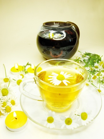 herbal tea with daisy flowers essencesの写真素材