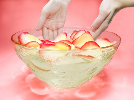 hands in plate with clean water for spa with rose petalsの写真素材