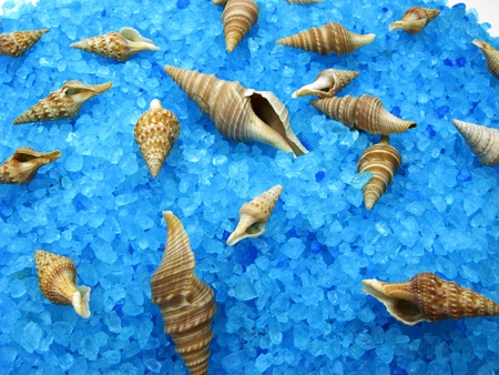 spa bathing salt sea shells health care background