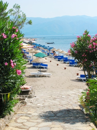 road going to the beach for sunbathingの写真素材