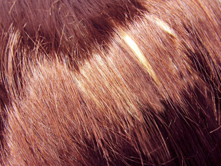 dark highlight hair texture abstract backgroundの写真素材