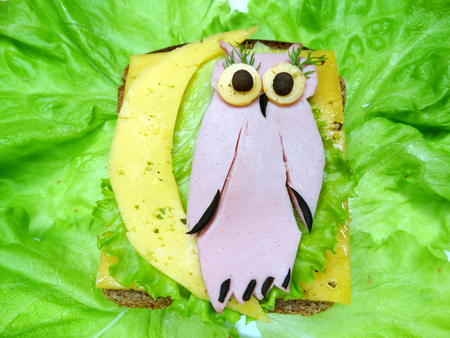 creative sandwich with cheese and salame owl shapeの写真素材