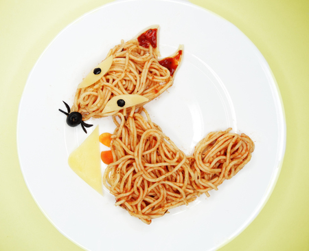 creative vegetable food meal with spaghetti fox formの写真素材