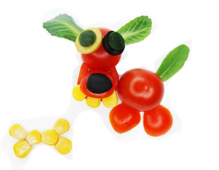 creative funny vegetable food snack with tomato dog formの写真素材