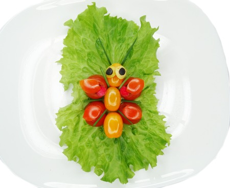 creative funny vegetable food snack with tomato butterfly formの写真素材