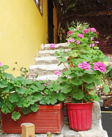 door architecture detail in house building with bougainvillaea Greeceの写真素材