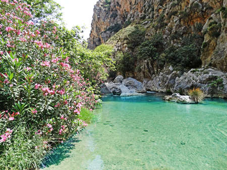 water pool lagoon in mountain canyon prevelli on crete island greeceの写真素材