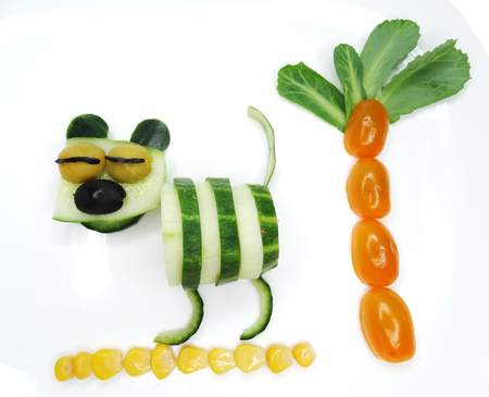 creative funny vegetable food snack with cucumber lion formの写真素材