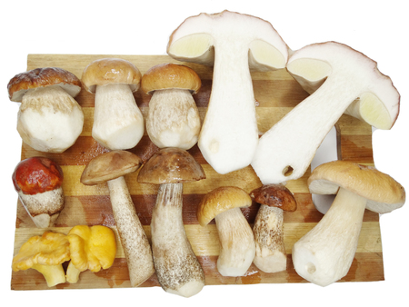 fresh edible forest mushrooms on cutting boardの写真素材