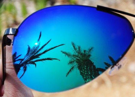 sun and palms reflacting in sunglasses summer holiday background conceptの写真素材
