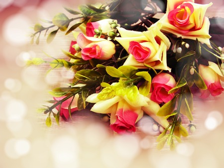 rose flowers bush floral spring background with blurred soft bokeh                              の写真素材