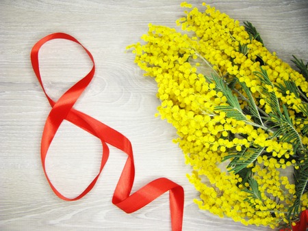 mimosa yellow flowers bush floral spring background 8 march greeting cardの写真素材