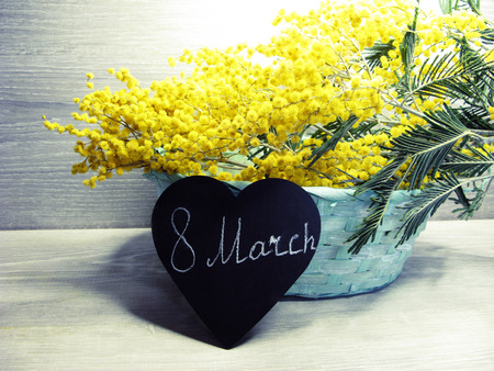 mimosa yellow flowers bush floral spring background 8 march greeting cardの写真素材
