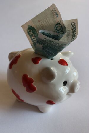 Pig-coin box on a white backgroundの写真素材