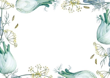 Fennel roots, flowers and seeds frame isolated on white background. A watercolor illustrations.の写真素材