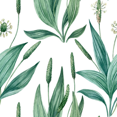 Seamless watercolor floral pattern with green leaves and plantain flowers.の写真素材