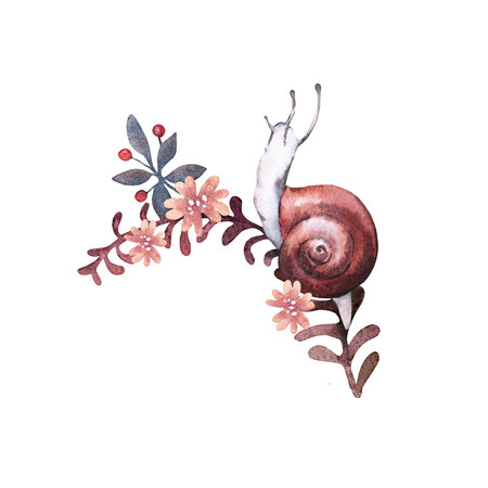 Snail abstract watercolor illustration. Hand drawn doodle with leaves, branch and flowers isolated on white background.の写真素材