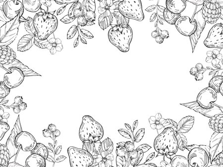 Berries vector frame hand drawn in ink. Border with strawberry, cherry, raspberry and blueberry branches isolated on white background.Template for label designのイラスト素材