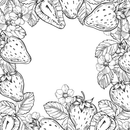 Strawberry vector black and white frame hand drawn with ink. Border with leaves, berries of raspberry on a white background. Template for label designのイラスト素材