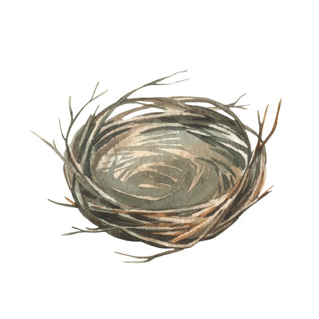 Bird nest made of branches. Illustration is hand-drawn with watercolor and isolated on white background. Element for Easter decorの写真素材