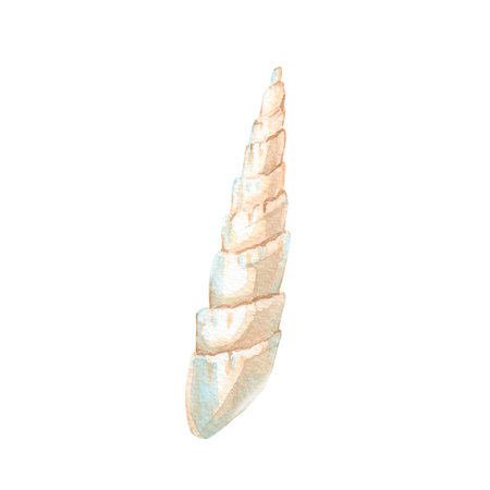 Sea shell watercolor illustration hand drawn and isolated on white background. Object for design of...