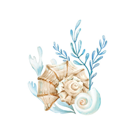 Seashells and seaweeds watercolor illustrations in , blue and beige colors. Hand drawn template isolated on white background. Design elements for labels, textiles, tablewareの写真素材