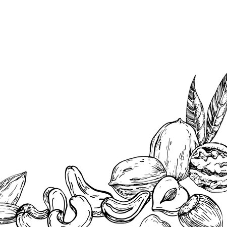 Nuts vector frame hand drawn with ink. Template with kernels and nutshells of cashew, almond, hazelnut, walnut and peanut for label and textile designのイラスト素材