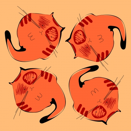 orange catのイラスト素材