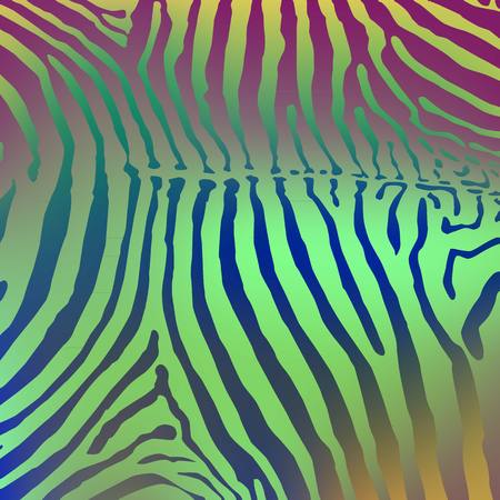 Zebra backgroundのイラスト素材