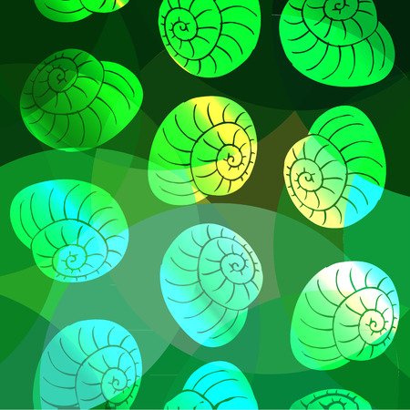 shell patternのイラスト素材