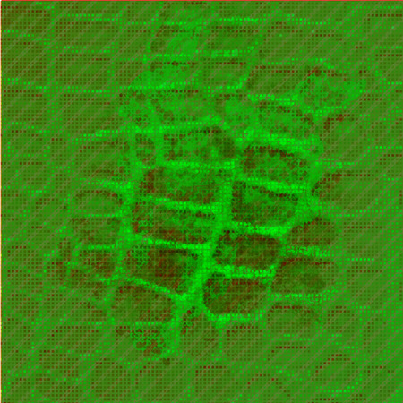 Green seamless snake skin pattern for background design. Jpeg version also available in galleryのイラスト素材