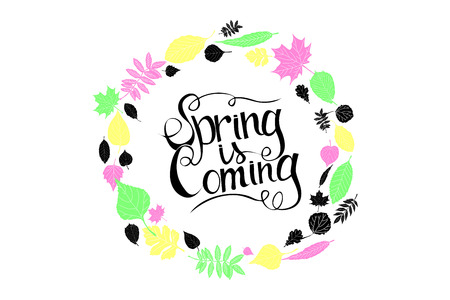 Inscription spring is coming in a frame of leaves. Lettering. Hand draw. Vector illustration. Graphic design.のイラスト素材