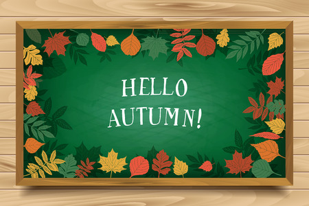 Hello autumn. Hand drawn different colored autumn leaves. Background for your design.のイラスト素材